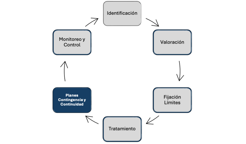 Contingency plan diagram