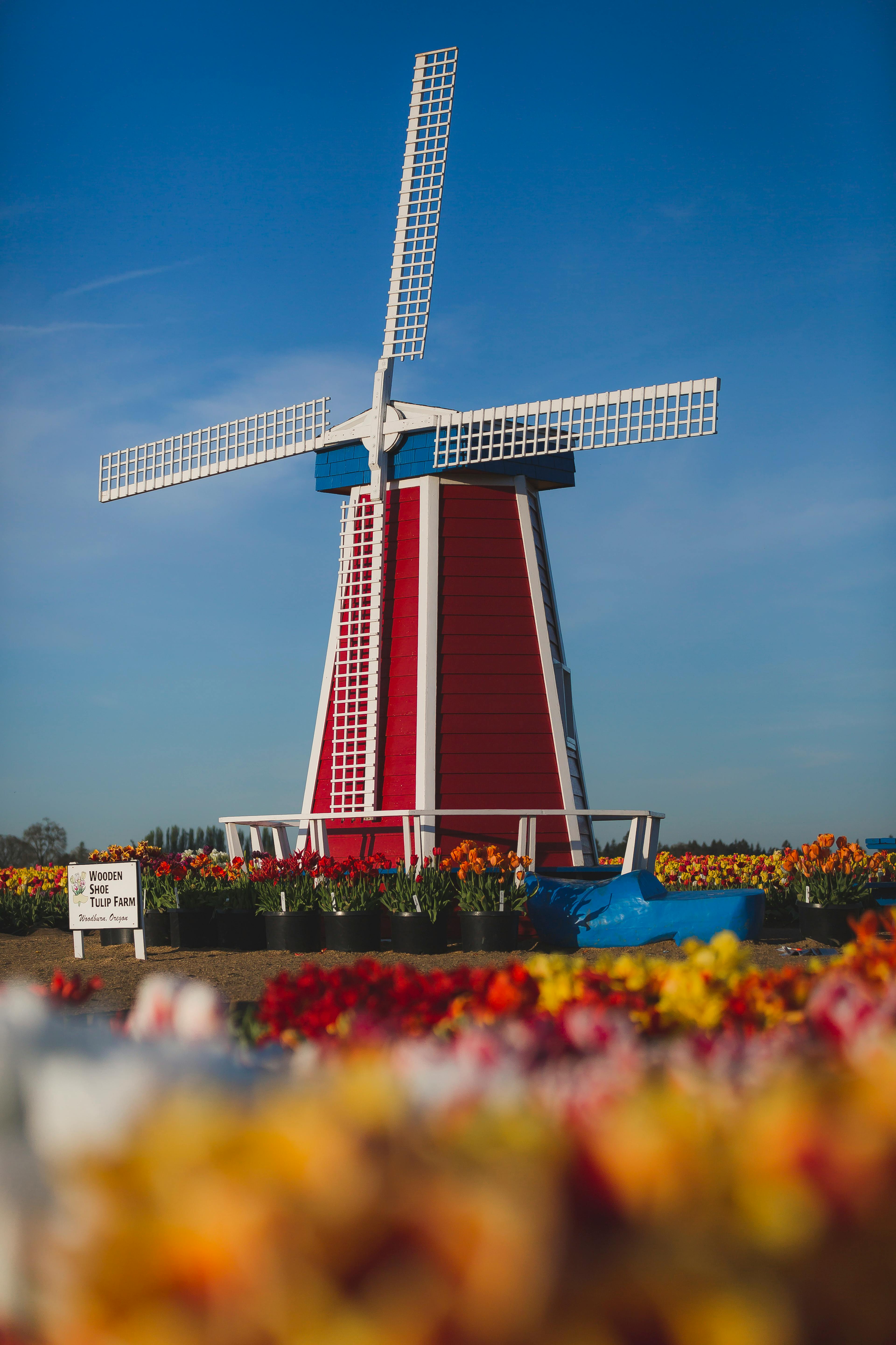 Windmill at sunset